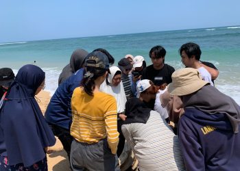 Mahasiswa FPIK UB Berburu Vertebrata Air di Pantai Balekambang