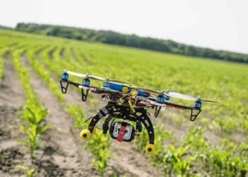 PLN dan Lembaga Binaan Kembangkan Pertanian Modern Pesantren