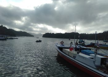 Tips Investasi untuk Pemula