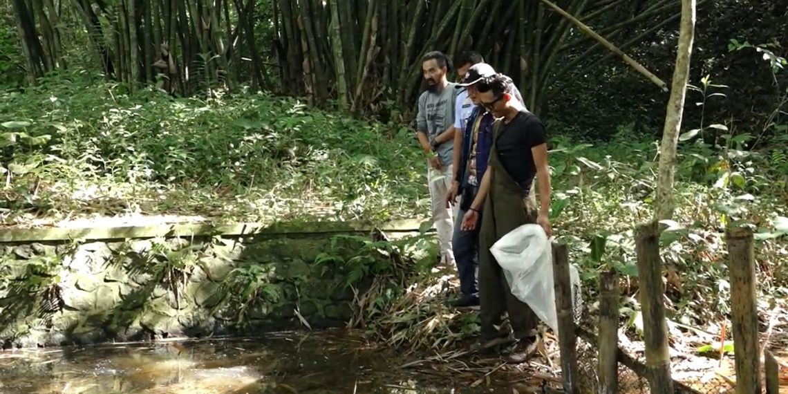 Pelepasan Ikan Koi di Desa Slamparejo, Ajak Warga Peduli Sumber Air