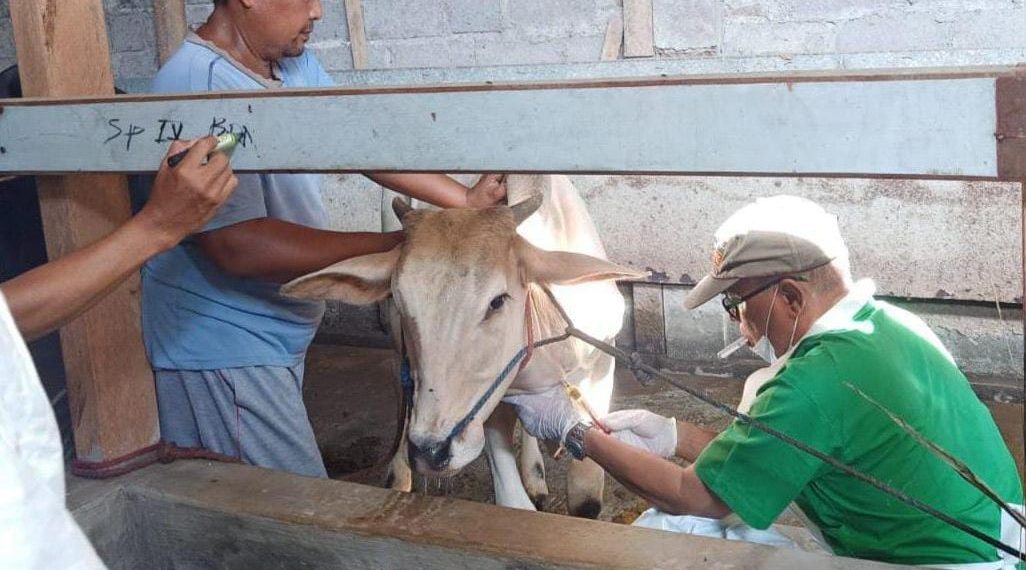 Pemprov Jatim Kembali Kirim Obat untuk Tangani PMK