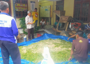 Pakan Olahan Sehat, Solusi Doktor UB untuk Peternak Desa Pelem Saat Kemarau