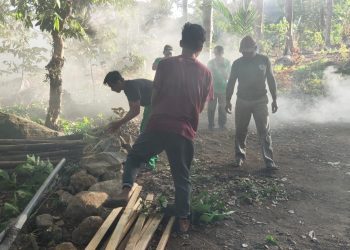 Tetenger Bumi UB Tanam Ribuan Pohon Serentak di Berbagai Daerah Jatim