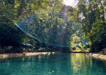 Mata Air Umbulan, Surga Tersembunyi di Kaki Gunung Kawi