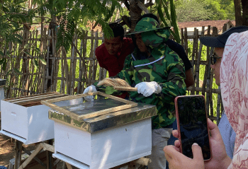 Doktor Mengabdi UB Sodorkan 50 Kotak Lebah Apis Mellifera untuk Tigkatkan Pendapatan Petani Tembakau Probolinggo
