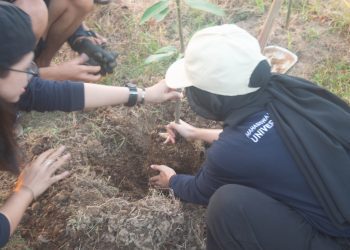 Cermo Lestari! Mahasiswa MMD UB Wujudkan Sikap Peduli Lingkungan dengan Tanam 25 Bibit Pohon dalam Program Kerja Tetenger Bumi