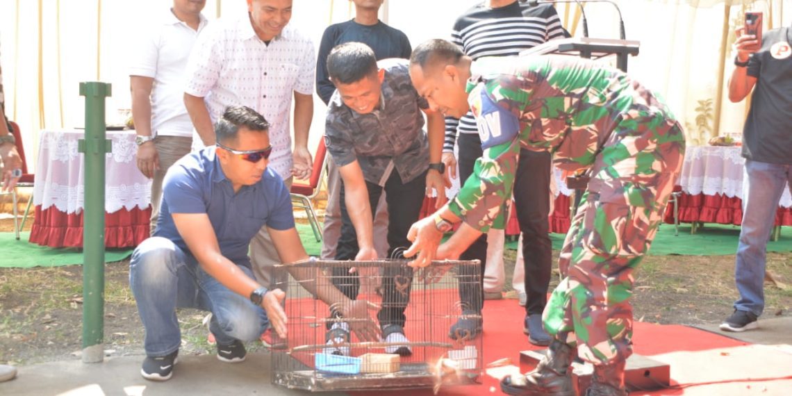 Puluhan Burung Unjuk Kicau di Baladhika Arena