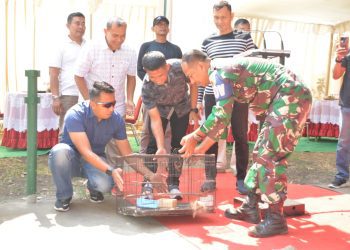 Puluhan Burung Unjuk Kicau di Baladhika Arena