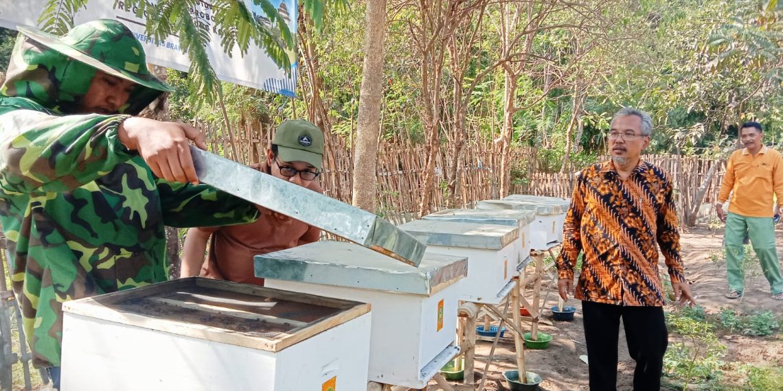 Tim DM FP UB Dorong Pemberdayaan Usaha Olahan Ikan dan Petani Tembakau di Probolinggo