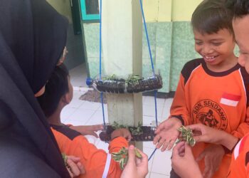 Edukasi Vertical Garden dan Kelola Sampah