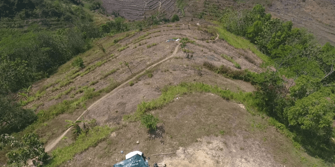 Dosen Muda Kehutanan UB Dukung Pengembangan Hutan Buatan Blitar