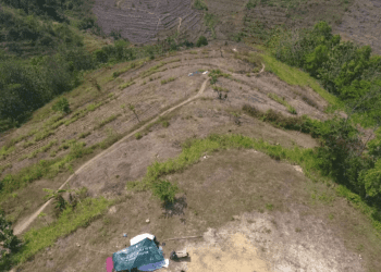 Dosen Muda Kehutanan UB Dukung Pengembangan Hutan Buatan Blitar