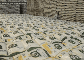 Ancaman Krisis Beras di Januari 2024, Mentan Genjot Tanam 1 Juta Hektar Lahan