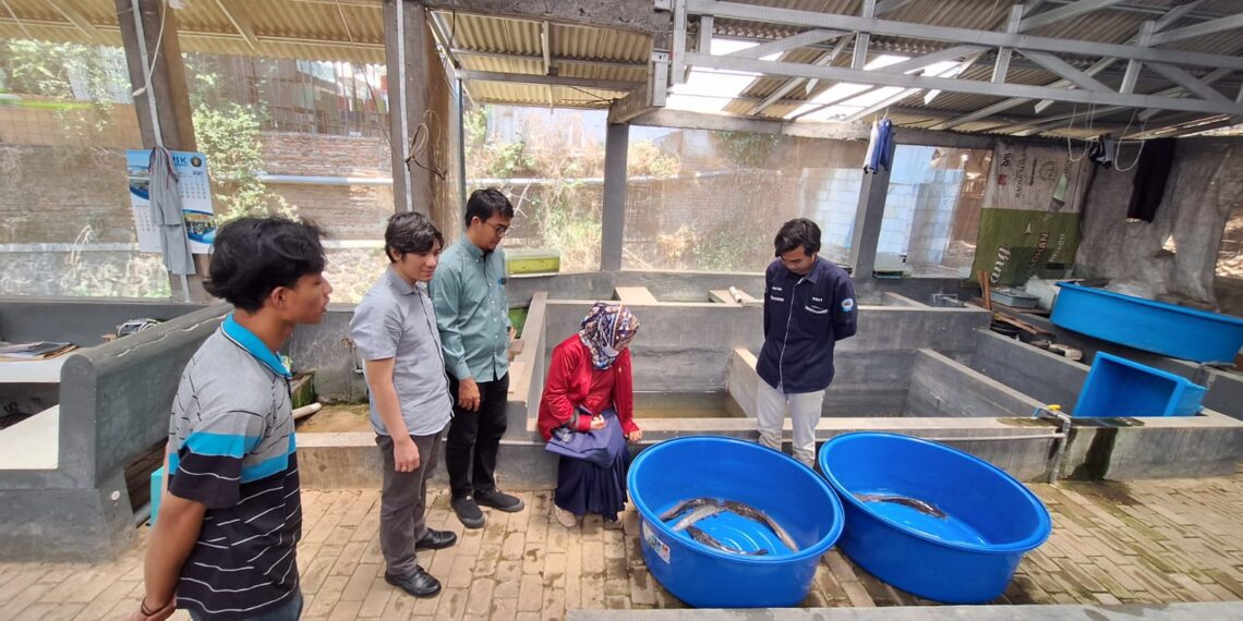 Tim Dosen FPIK UB Dorong Penguatan Budidaya Ikan Lele di Ponpes Bahrul Maghfiroh
