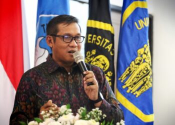 PLN Umumkan Rencana Transisi Energi Terbarukan