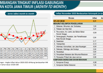 BPS : Cabai Sumbang Inflasi Jawa Timur  November 2023