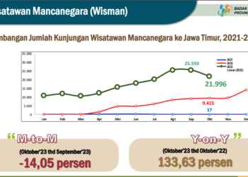 Kunjungan Wisatawan Mancanegara ke Jawa Timur Menurun 14,05 Persen