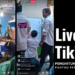 Live TikTok Penghitungan Suara TPS, Warna Baru Pemantauan Pemilu 2024