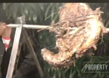 Gastronomi Pesta Rakyat