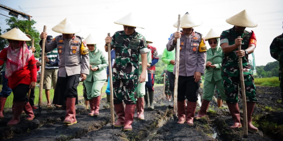 Wujudkan Ketahanan Pangan, Danrem 083/Bdj Pimpin Penanaman Jagung