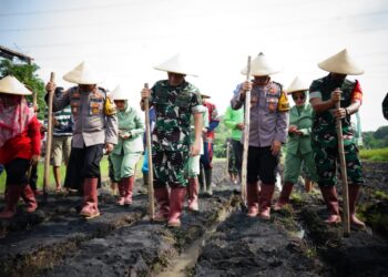 Wujudkan Ketahanan Pangan, Danrem 083/Bdj Pimpin Penanaman Jagung