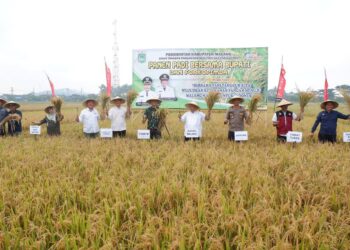 Sinergi Kodim Jajaran Korem 083/Bdj Wujudkan Ketahanan Pangan