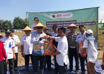 Pemkot Malang Pastikan Produktivitas Padi