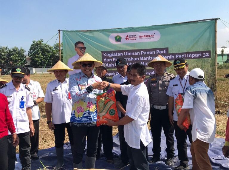 Pemkot Malang Pastikan Produktivitas Padi