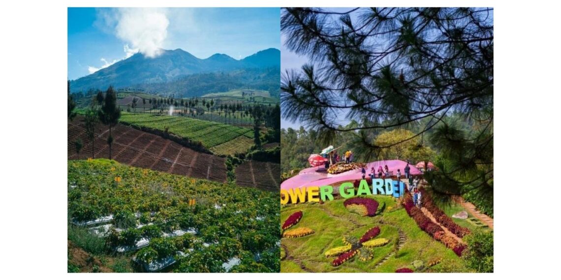 3 Rekomendasi Tempat Wisata Keluarga di Kota Batu