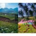 3 Rekomendasi Tempat Wisata Keluarga di Kota Batu