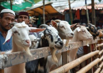 Dispangtan Malang Pantau Tempat Jualan Hewan Kurban