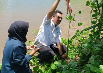 Magang Industri, Mahasiswa UB Kediri Tingkatkan Konservasi Kelautan & Perizinan Nelayan