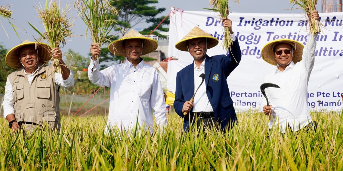 Inovasi Teknologi Irigasi, Solusi Hemat Air untuk Pertanian Padi
