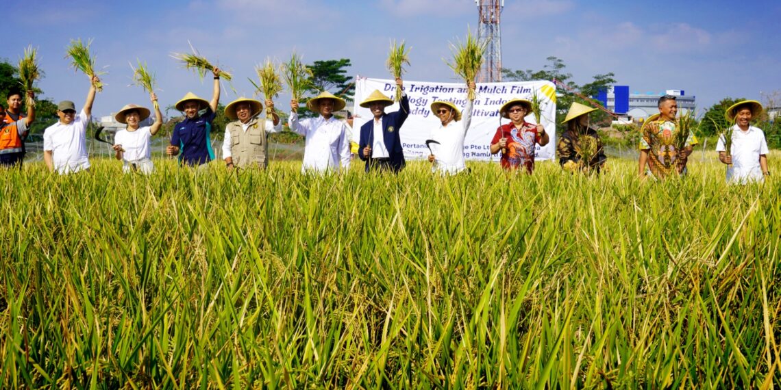 Teknologi Irigasi Baru UB, Berpotensi Mengubah Wajah Pertanian Indonesia