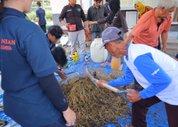 Program Kompos KKN FP UB Dukung Pertanian Organik Desa Sukoanyar