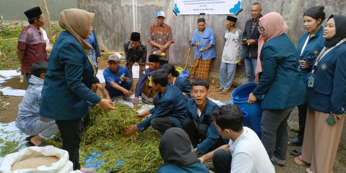 Kejar Mandiri Pakan, Kelompok 16 MMD UB Share Teknik Pembuatan Silase dan Pakan Ternak Lengkap