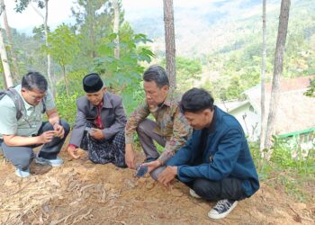 Kembangkan Potensi Porang, Doktor Mengabdi UB Dorong Agroindustri di Ponorogo