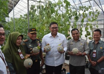 Wakil Menteri Pertanian bersama Danrem 083/Bdj Cek Program Perluasan Area Tanam Kabupaten Malang