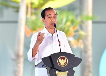 Jokowi Larang Diskon Susu Formula Bayi, Apa Alasannya?