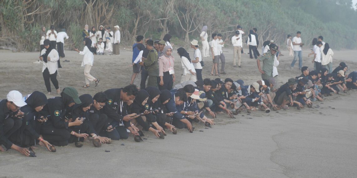 Kolaborasi Mahasiswa UB untuk Konservasi Penyu dan Pelestarian Ekosistem Laut