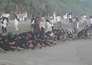 Kolaborasi Mahasiswa UB untuk Konservasi Penyu dan Pelestarian Ekosistem Laut