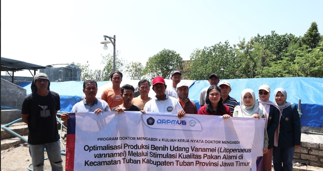 Tim AQUARES UB Genjot Produktivitas Udang Vaname di Tuban
