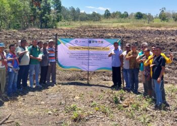 Dosen FP UB Optimalisasi Budidaya Jagung Raja R7 di NTT