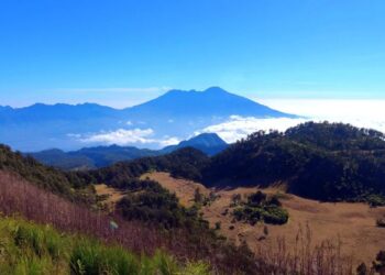 Pilihan Gunung Sekitar Malang untuk Pendaki Pemula
