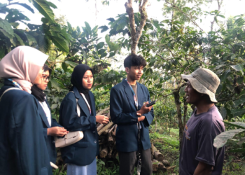 Pengembangan Potensi Kopi Desa Sumberdem Menjadi Fokus Pengmas Departemen Ilmu Ekonomi FEB UB