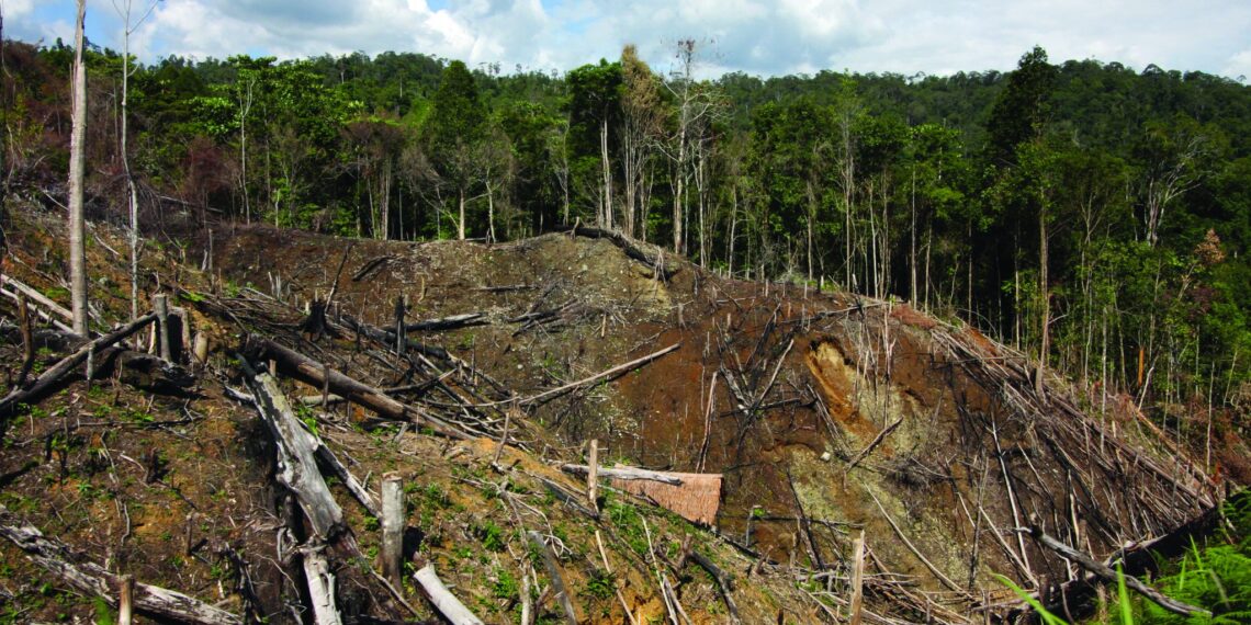 Ancaman Kerusakan Iklim: Hutan dan Lautan Tidak Lagi Menyerap Karbon CO2