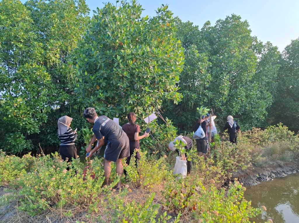 UB Implementasikan DIGI-TREE pada Program MMD - Kanal24