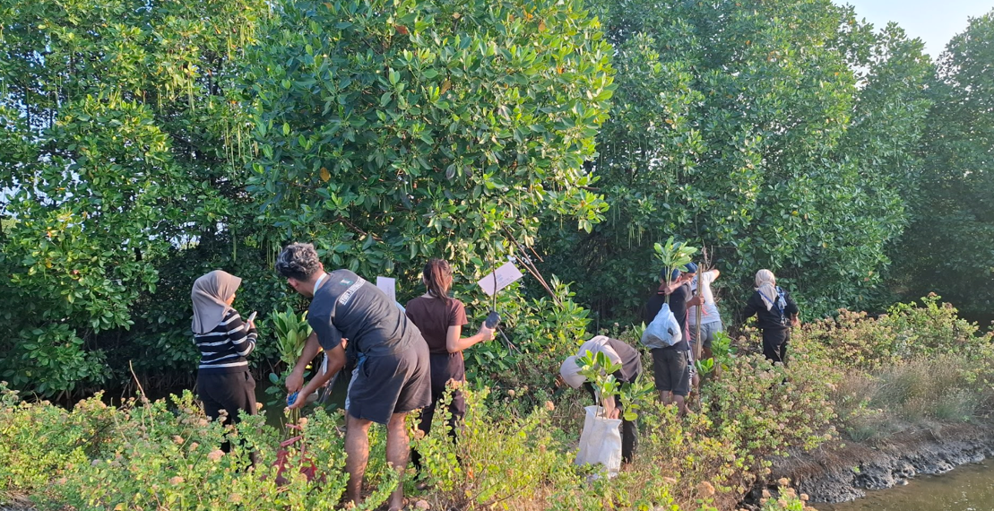 UB Implementasikan DIGI-TREE pada Program MMD