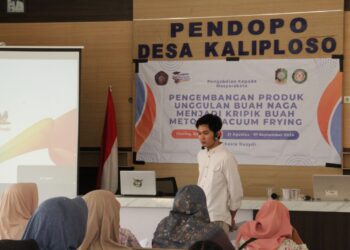 Inovasi Produk Unggulan Keripik Buah Naga Desa Kaliploso Tingkatkan Kesejahteraan Ekonomi