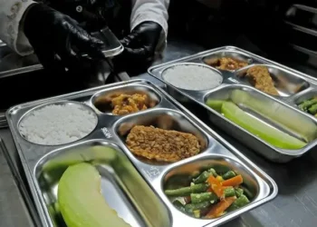BGN Undang Kemitraan untuk Program Makan Bergizi Gratis